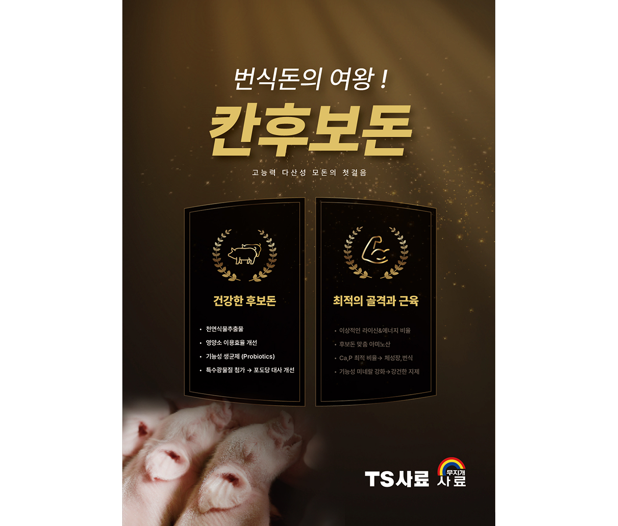 [모돈] 칸후보돈