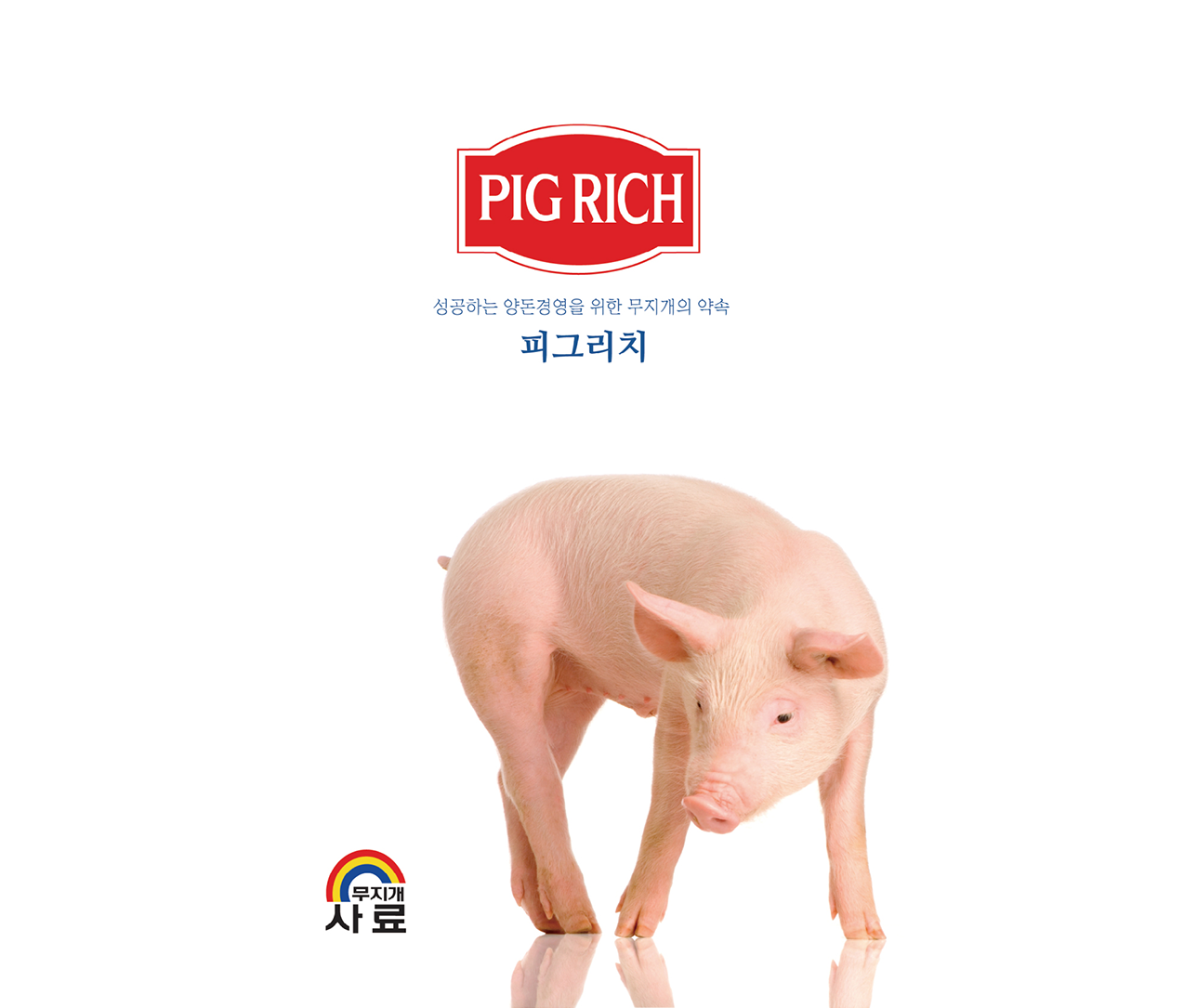 [육돈] 피그리치