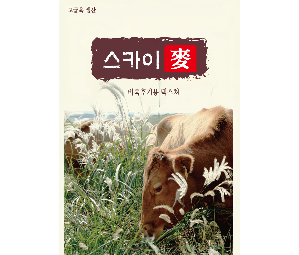 맥 시리즈 리스트이미지