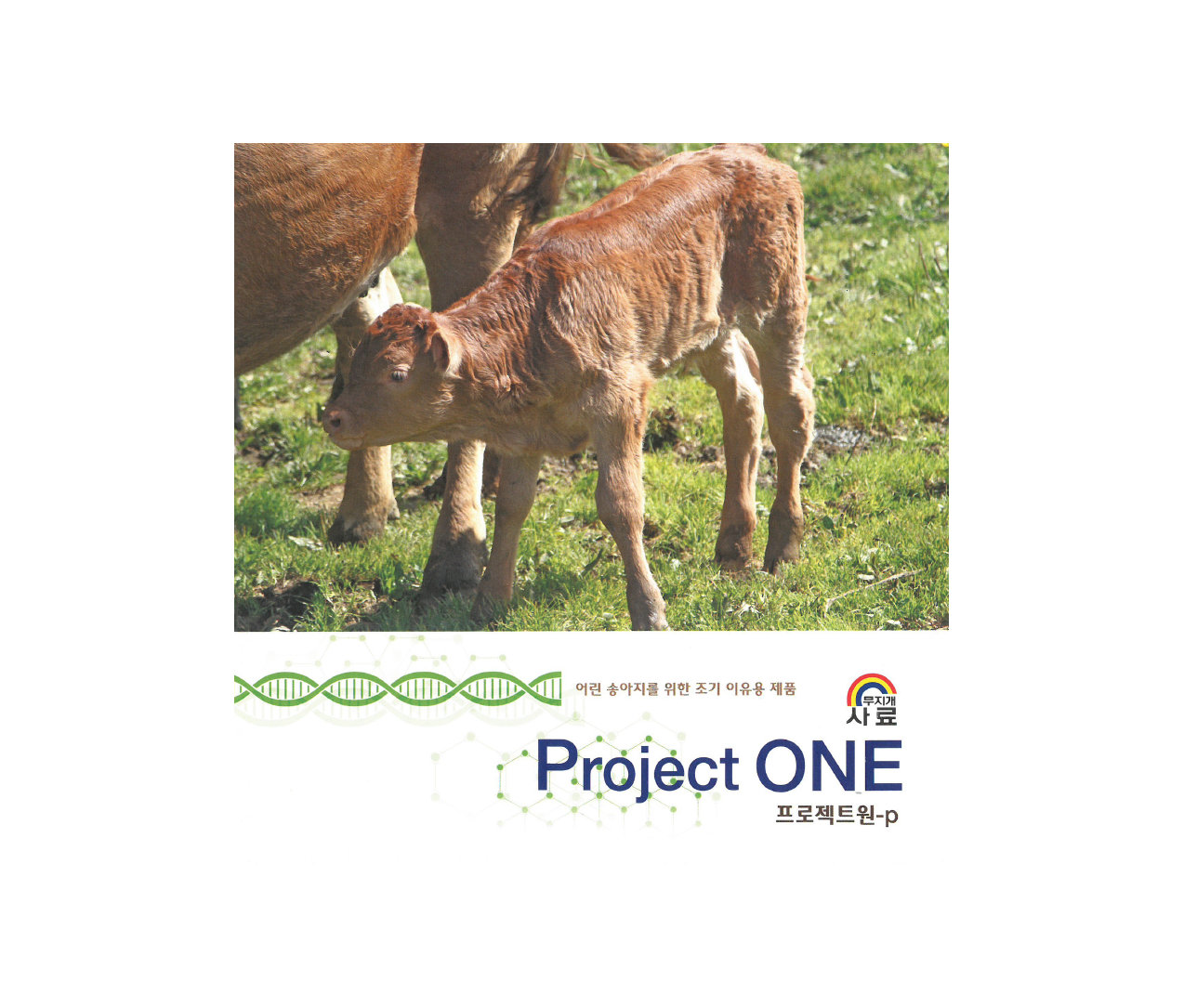 [송아지] 프로젝트원