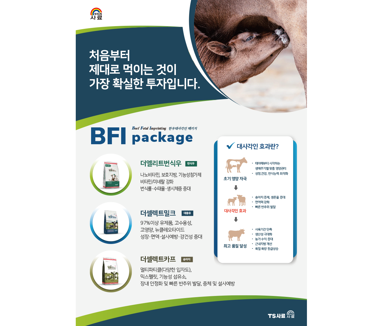 대사각인 패키지