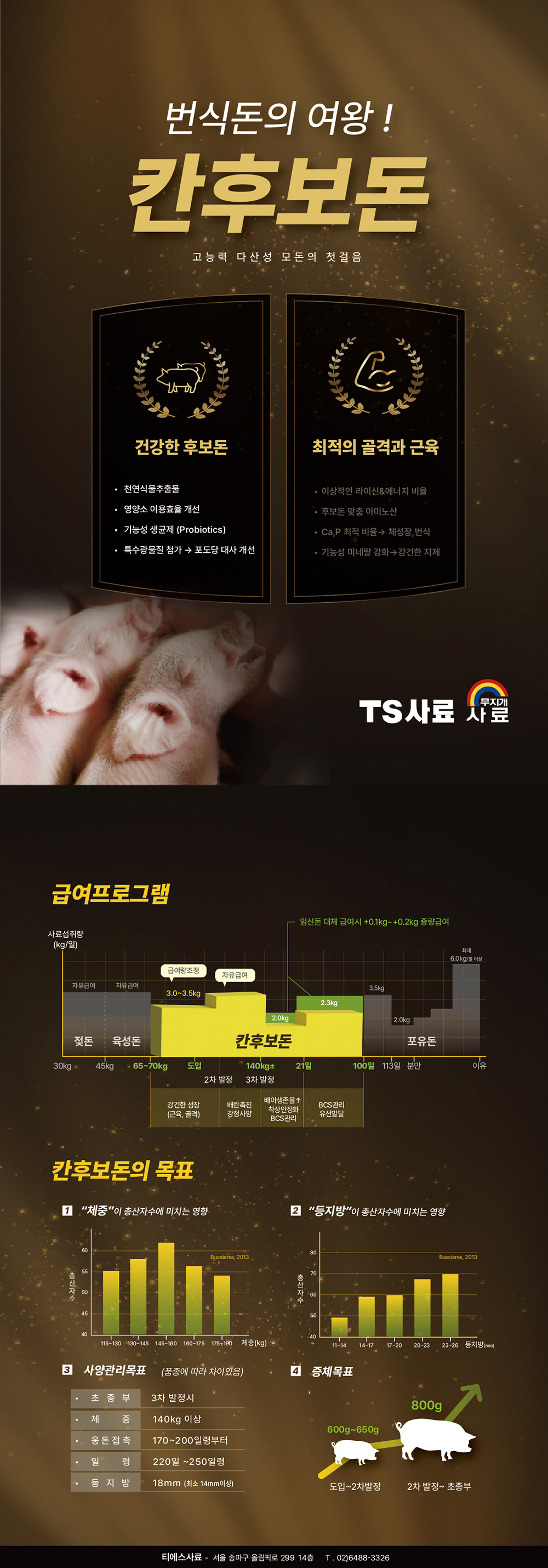 [모돈] 칸후보돈 상세이미지