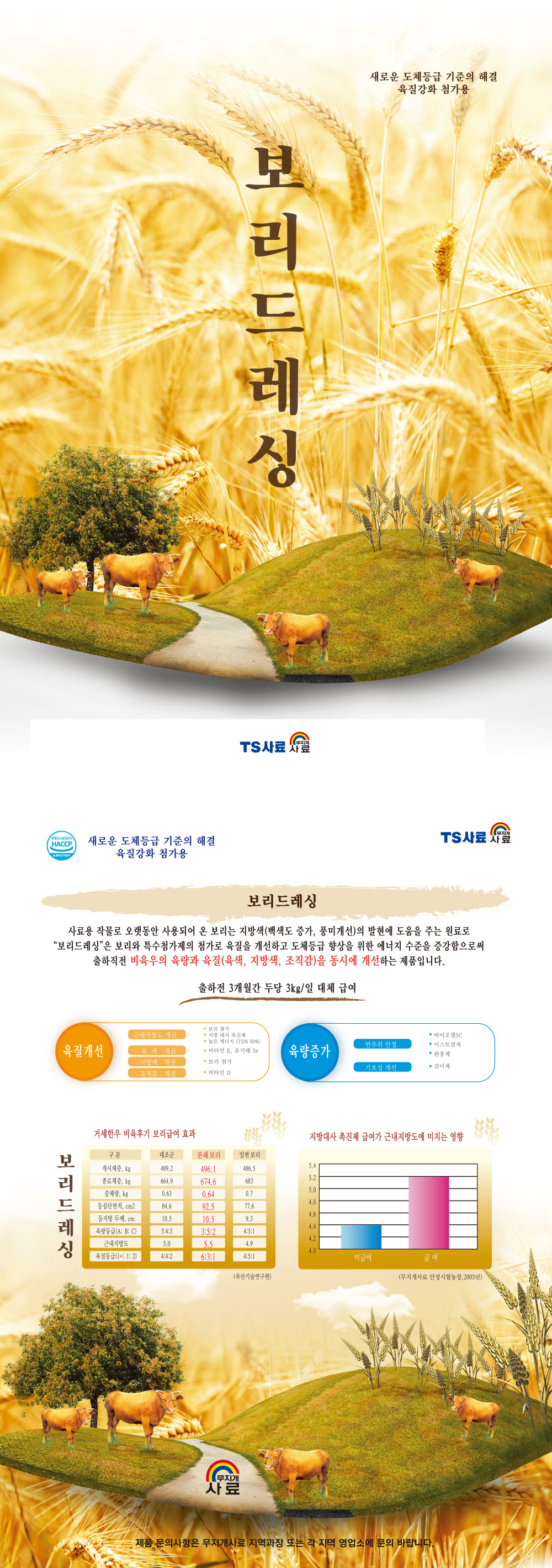 보리드레싱P 상세이미지