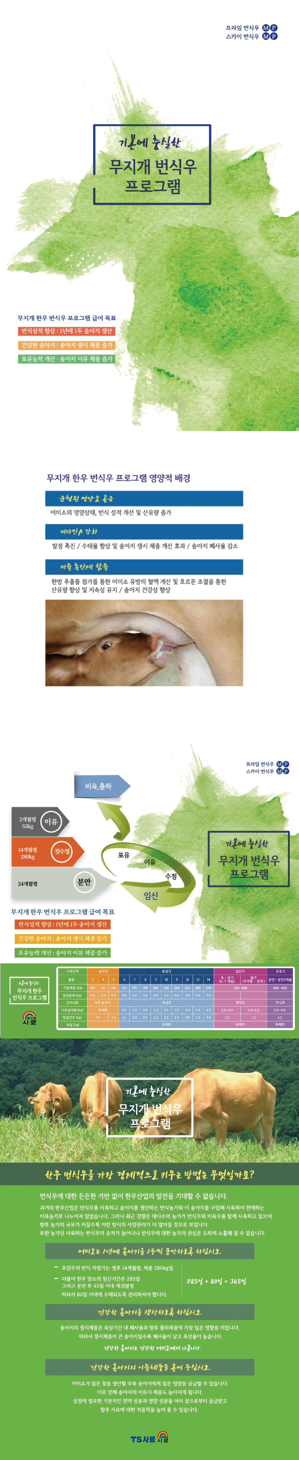 번식우 시리즈 상세이미지